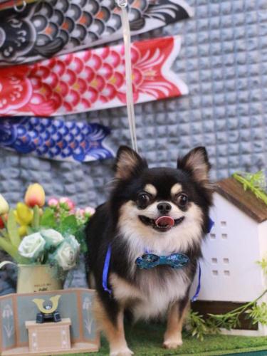 20230512ボスくん